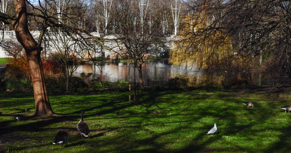 First-Timer’s Guide to Visiting Buckingham Palace