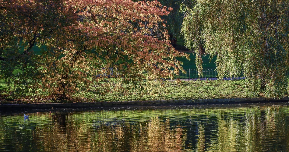 Buckingham Palace Through the Seasons: Best Times to Visit